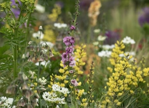 Great summer gardens are planted now