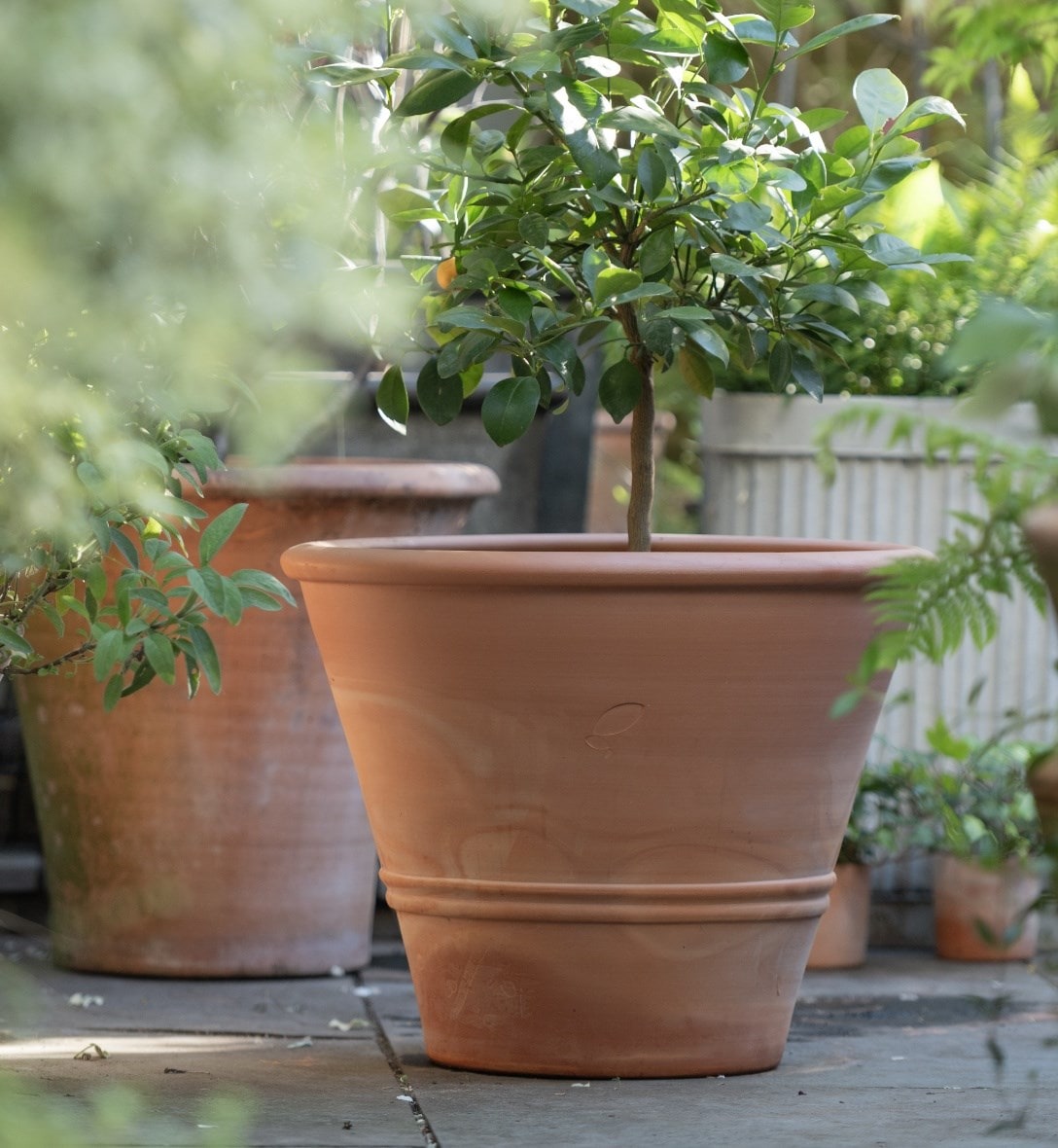 Outdoor pots