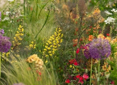 Escape to the garden