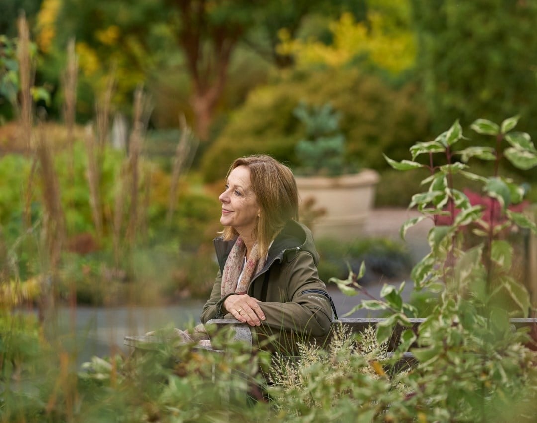 The beauty of the cottage garden