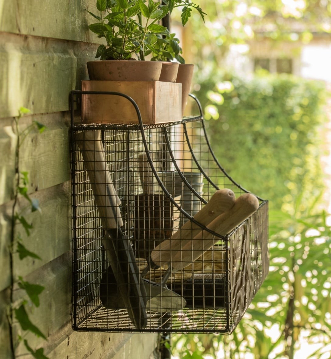 Potting & propagation