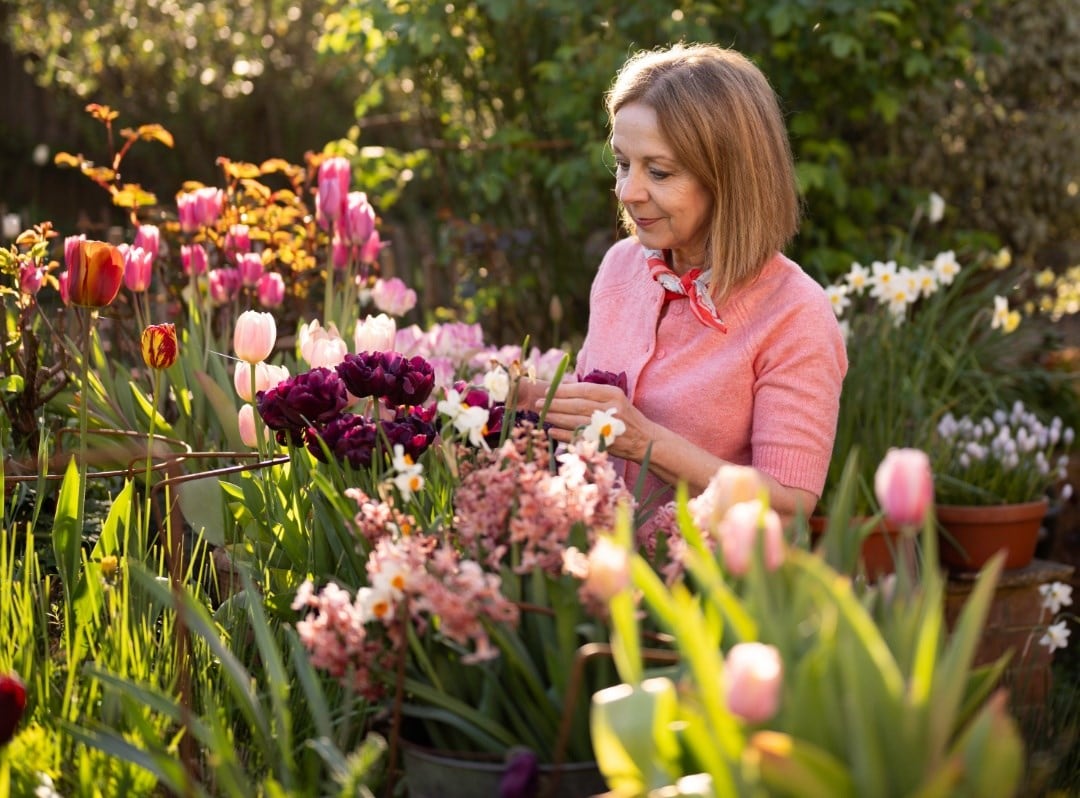 Jo's favourite cottage garden plants