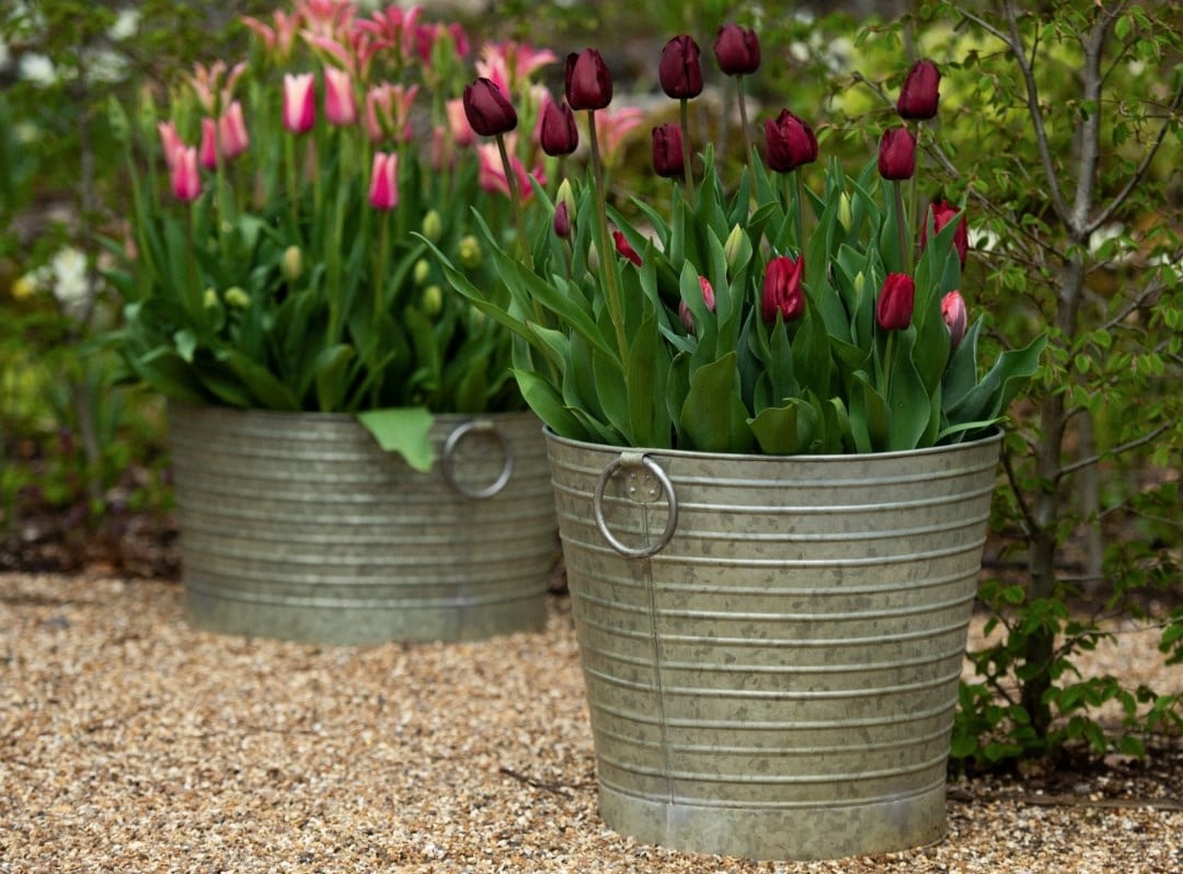 Outdoor pots