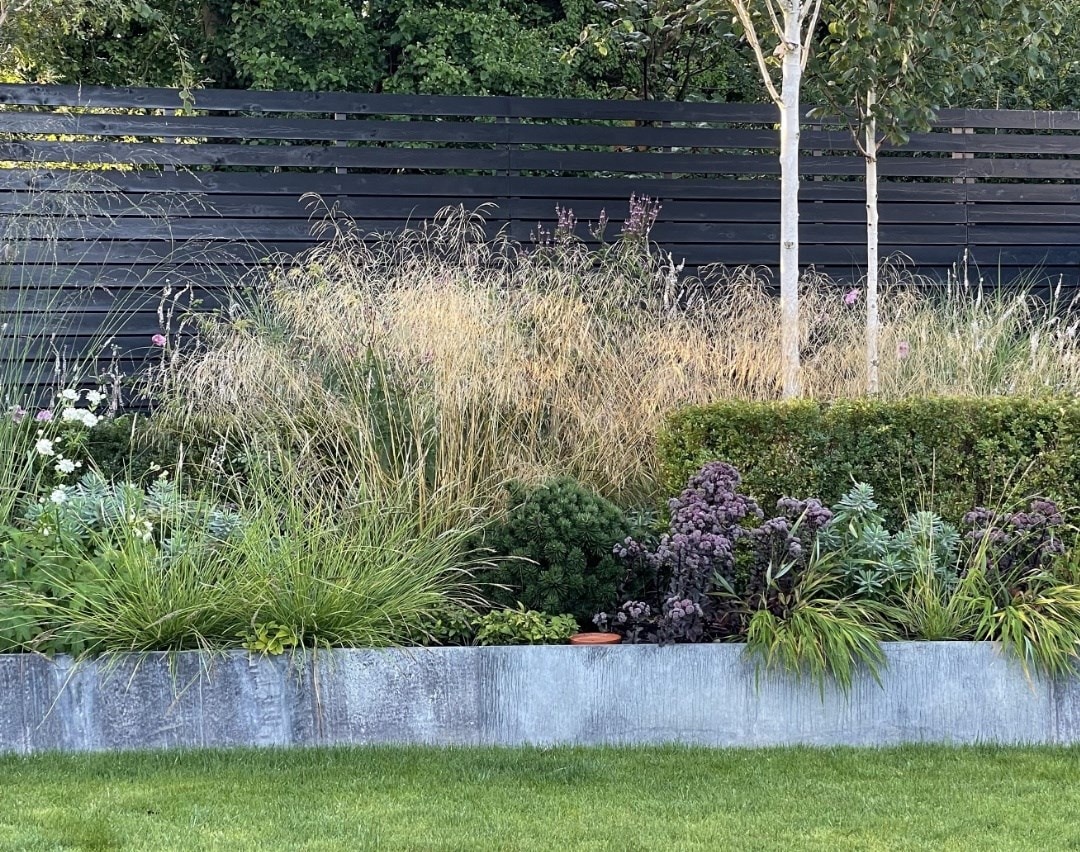 Ornamental grasses