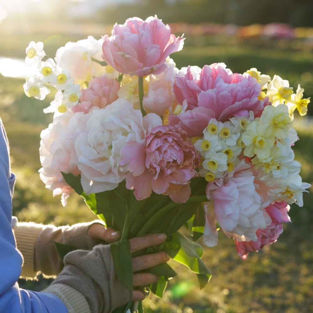 Plants & bulbs: 20% off