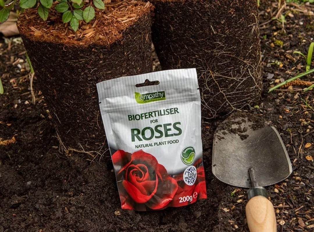 Rose planting kit