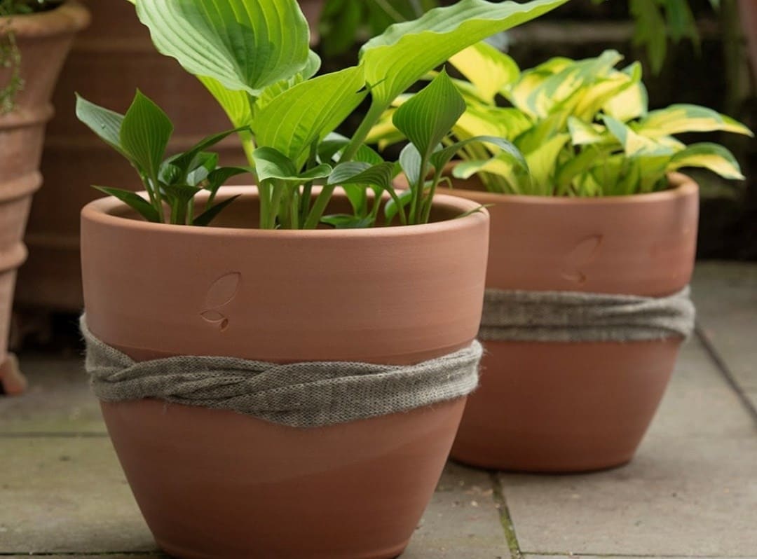 Pots & containers