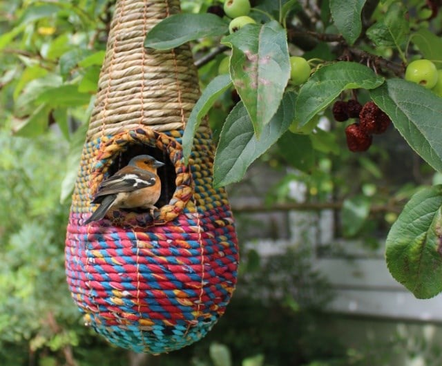 Provide natural food & shelter