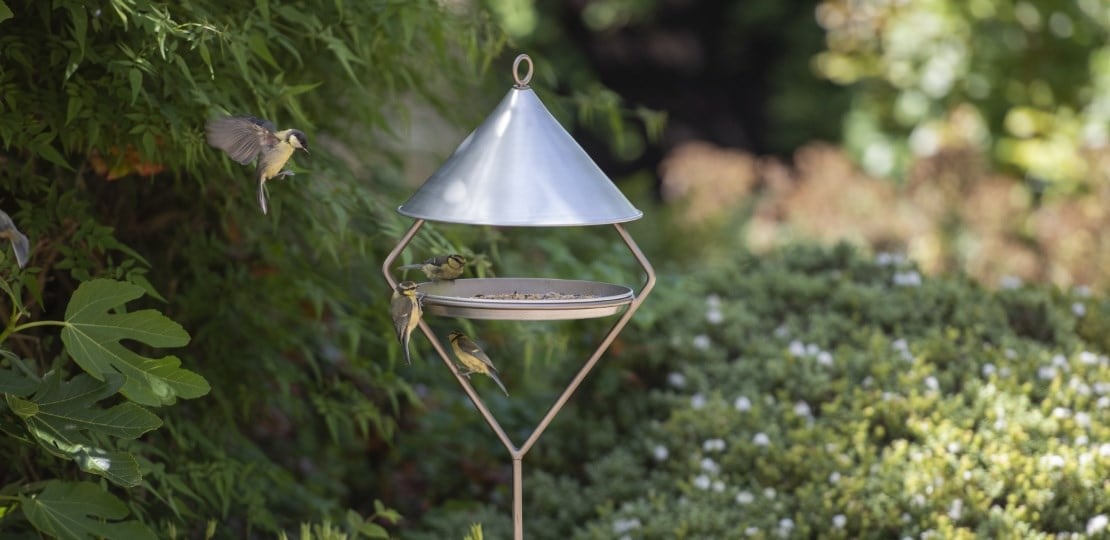 Bird and wildlife care