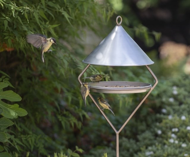 Bird and wildlife care