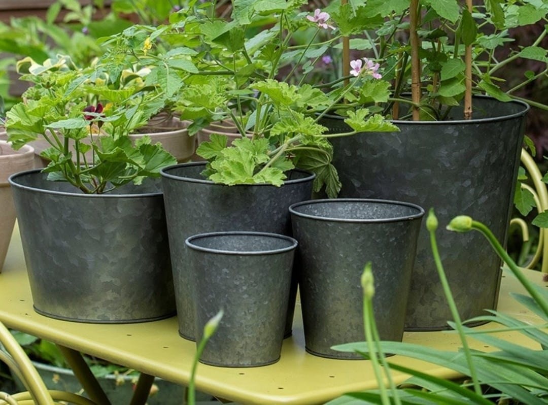 Potting & propagating