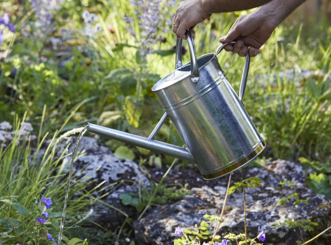 Watering cans