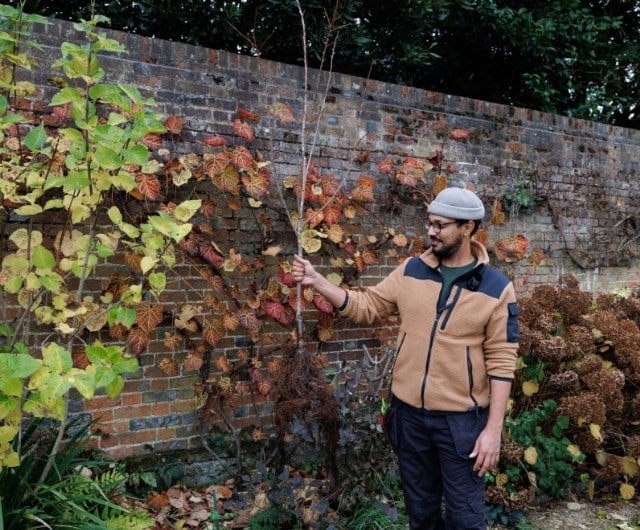 Protecting our planting and the visitors from the sun