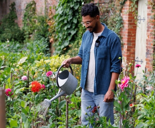 Creating a rain garden