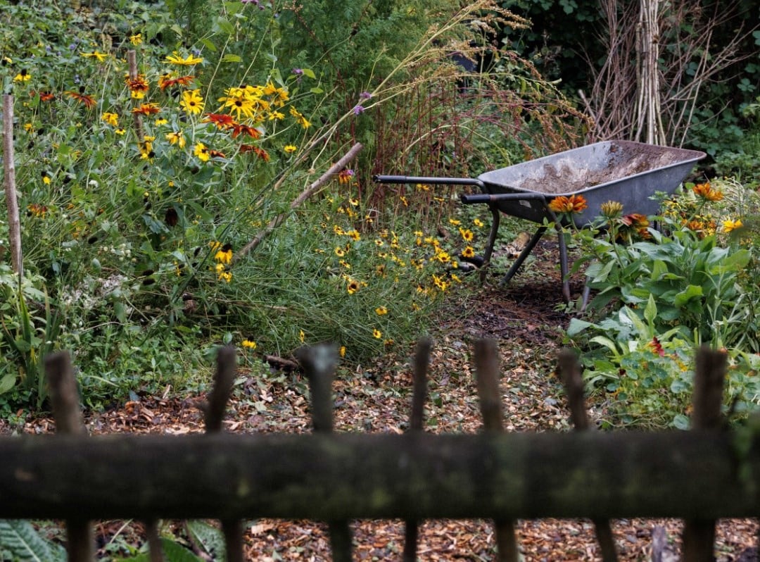 The dried flower cutting garden