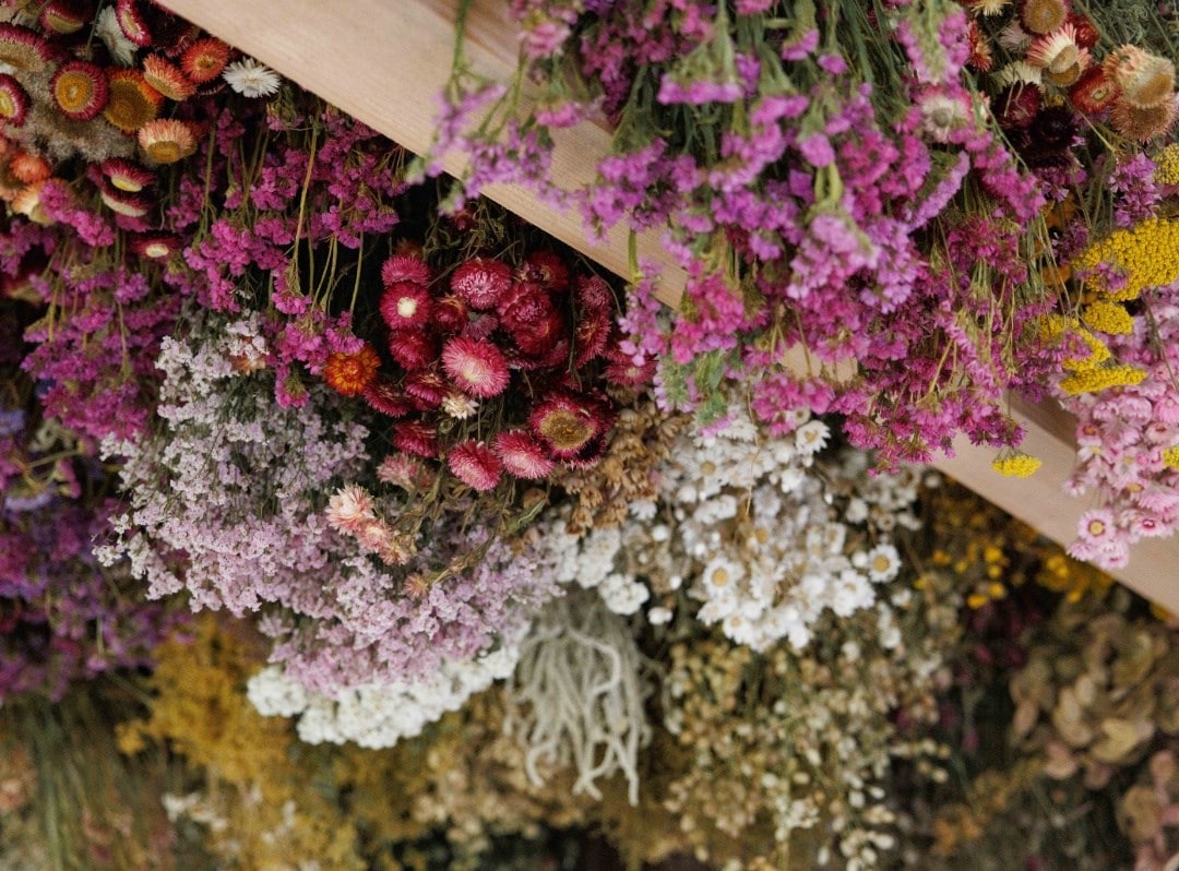 The art of drying flowers