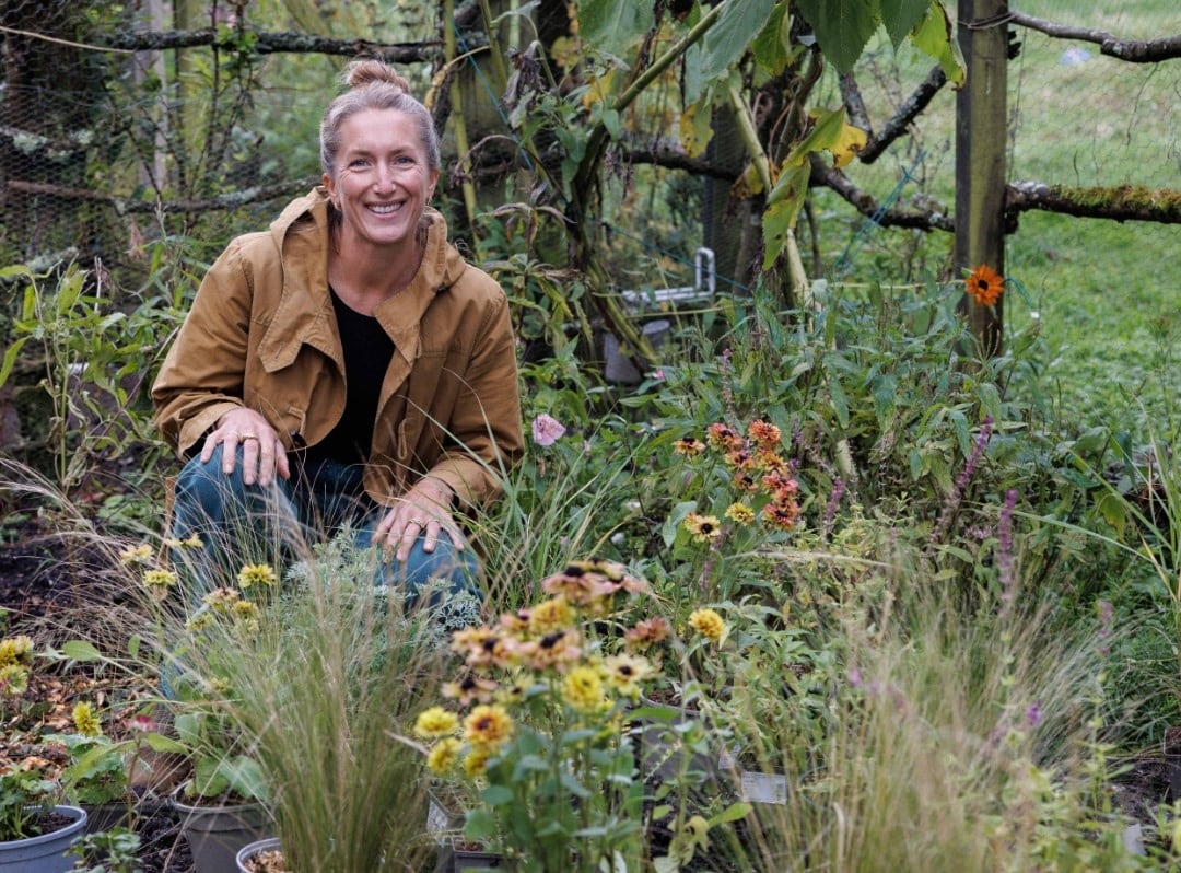 Perennials for drying