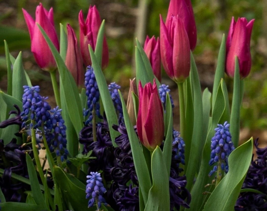 Colourful collections