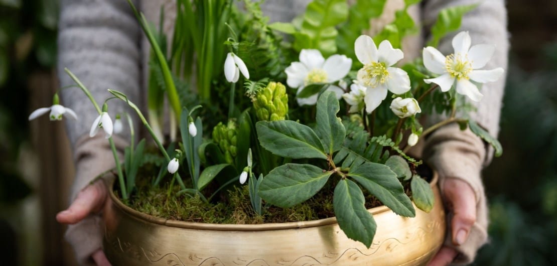 article_caring_for_gift_header