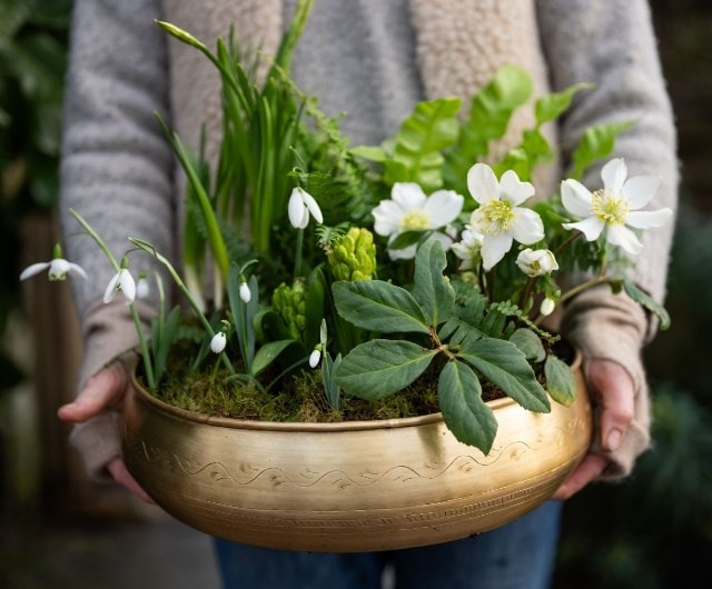 article_caring_for_gift_header