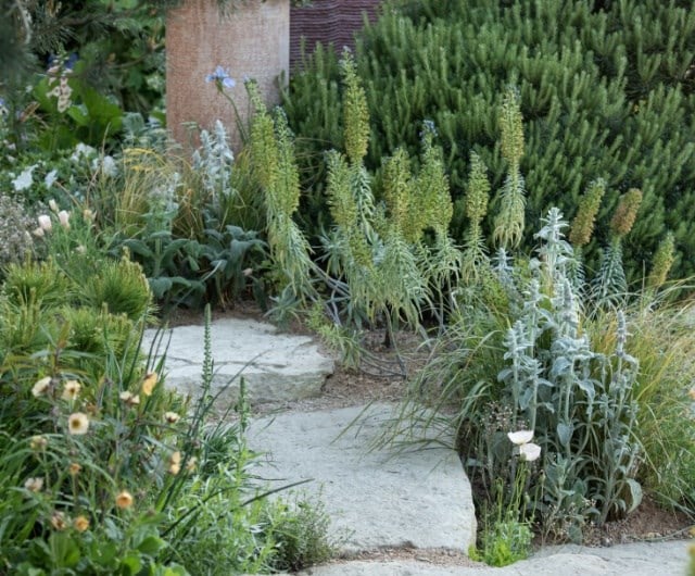 Resilient planting
