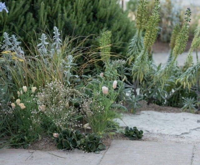 Climate resilient gardens