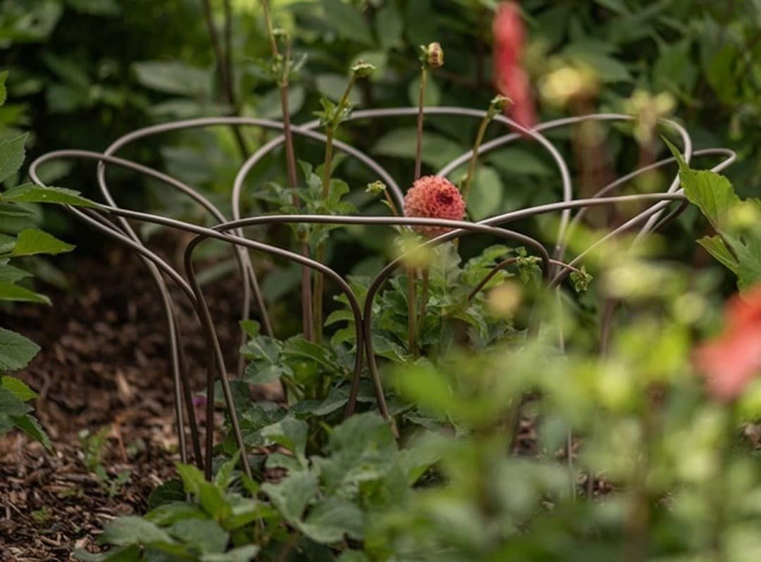 Trellises, arches & obelisks