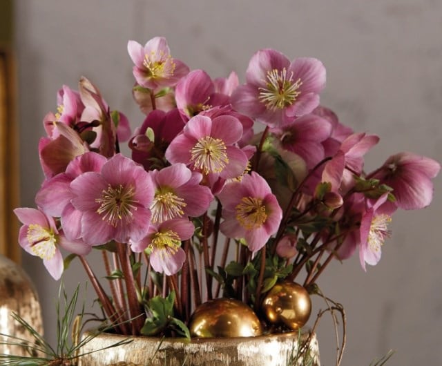 Create winter cut flower arrangements
