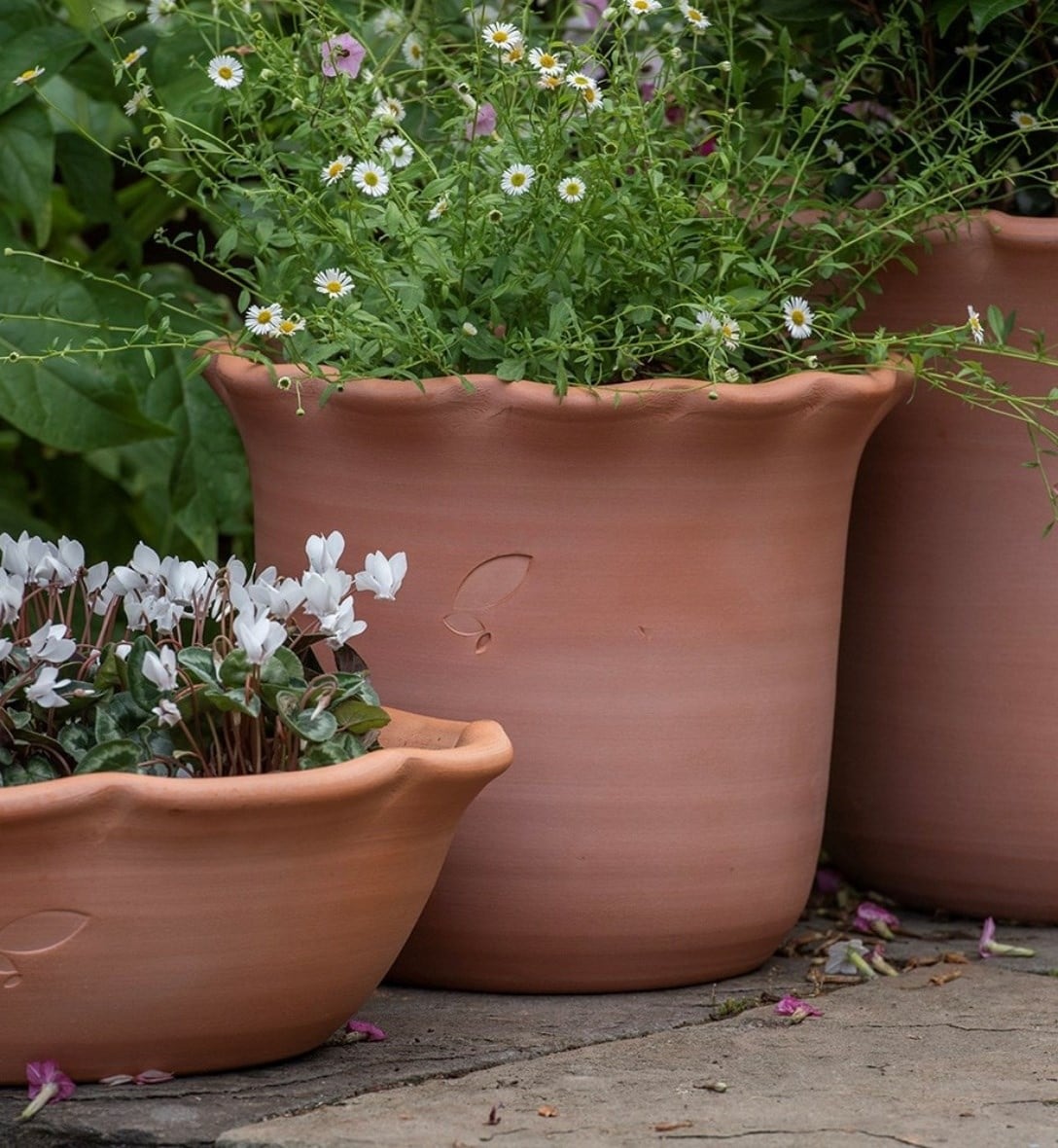 Pots & Containers