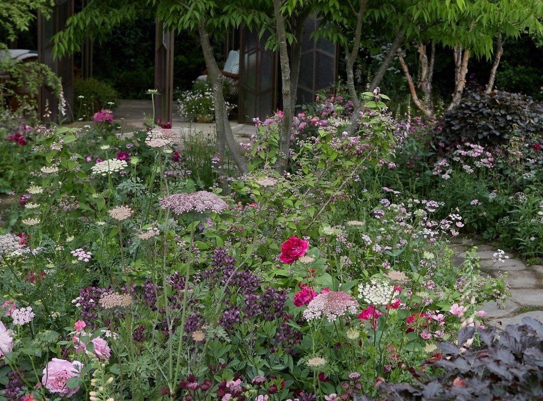 The beauty of the cottage garden