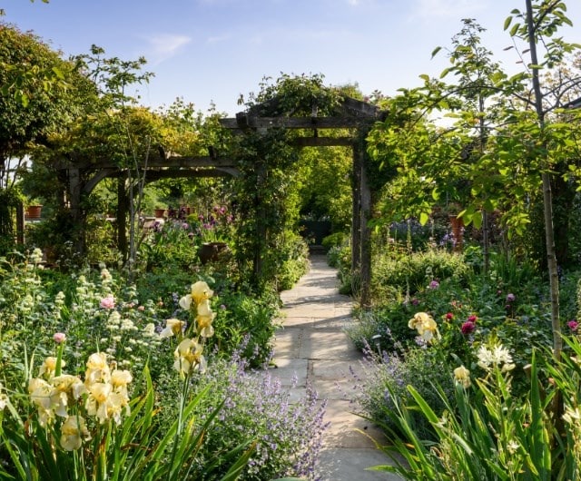 Planning a cottage garden
