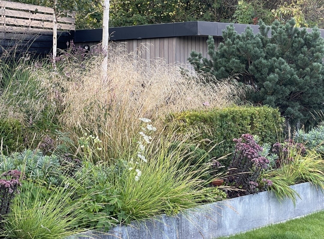 How to use grasses in your garden