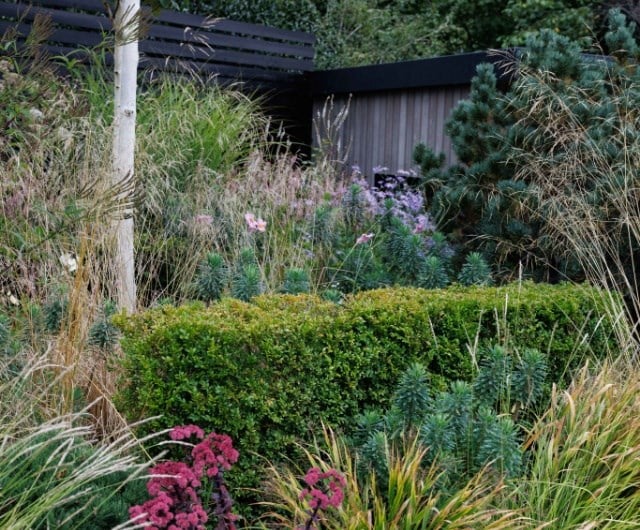 What advice do you have for someone starting a new garden? 