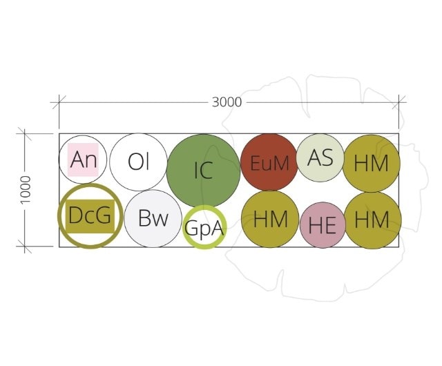 lucy_border_plan