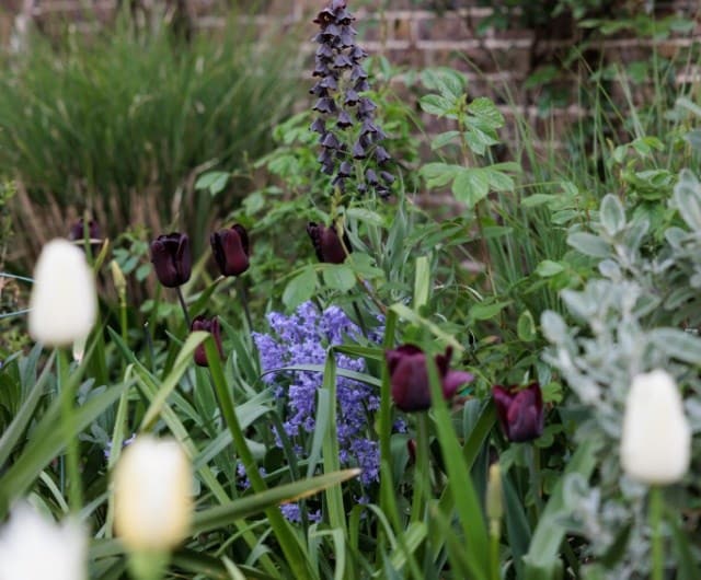 Design the garden for year-round viewing