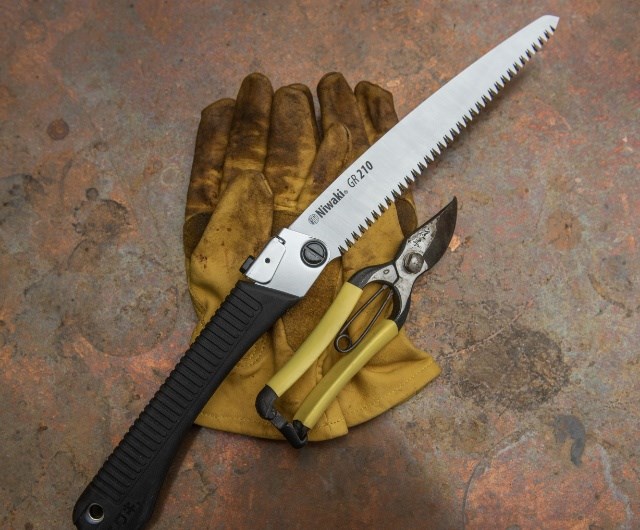 Pruning