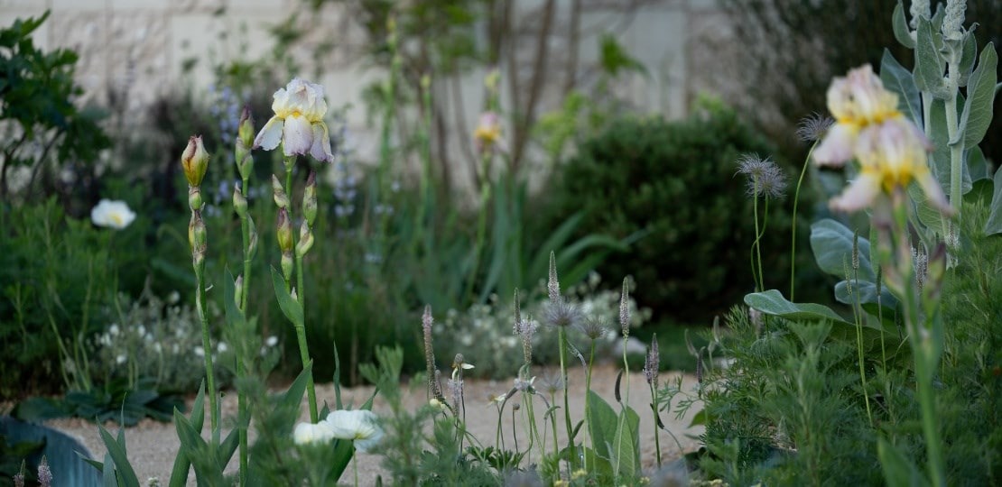 Create a garden theme that tells your story
