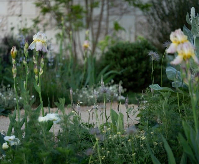 Create a garden theme that tells your story
