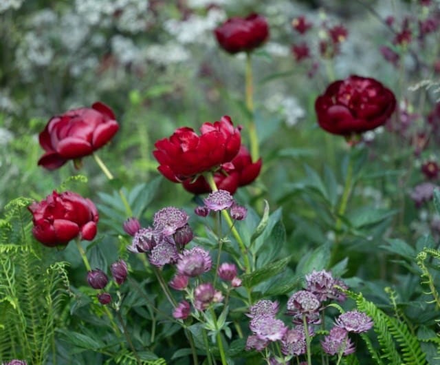 Jewel tones add luxury