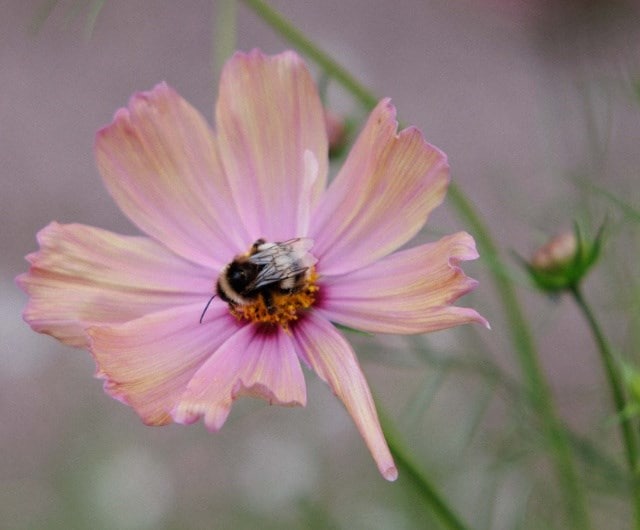 sustainability_header