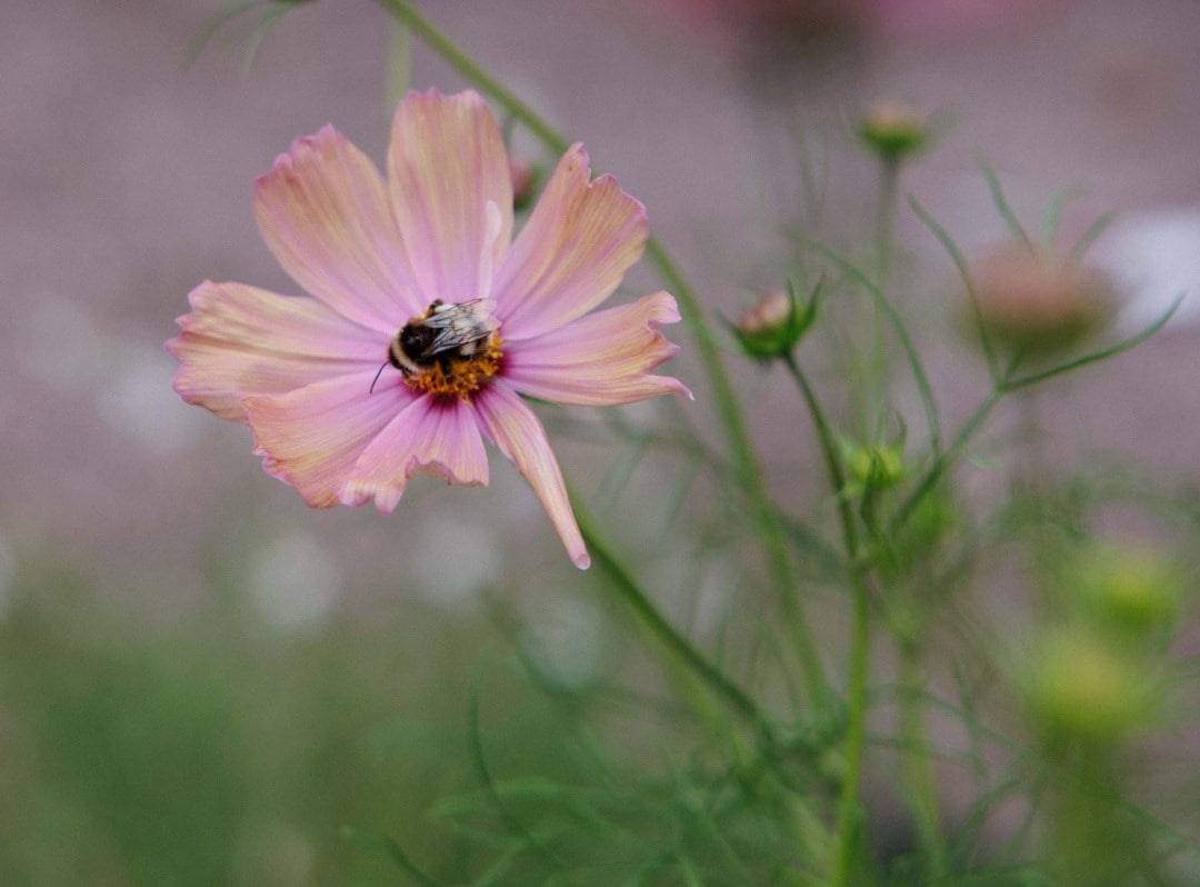 Our sustainability promise