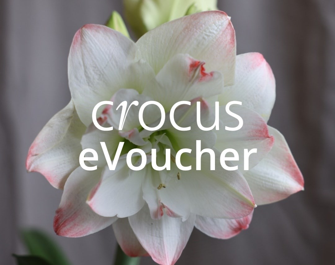 Crocus online gift vouchers