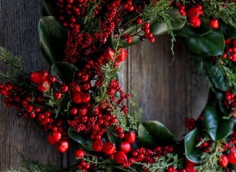 Welcome to Christmas with Crocus