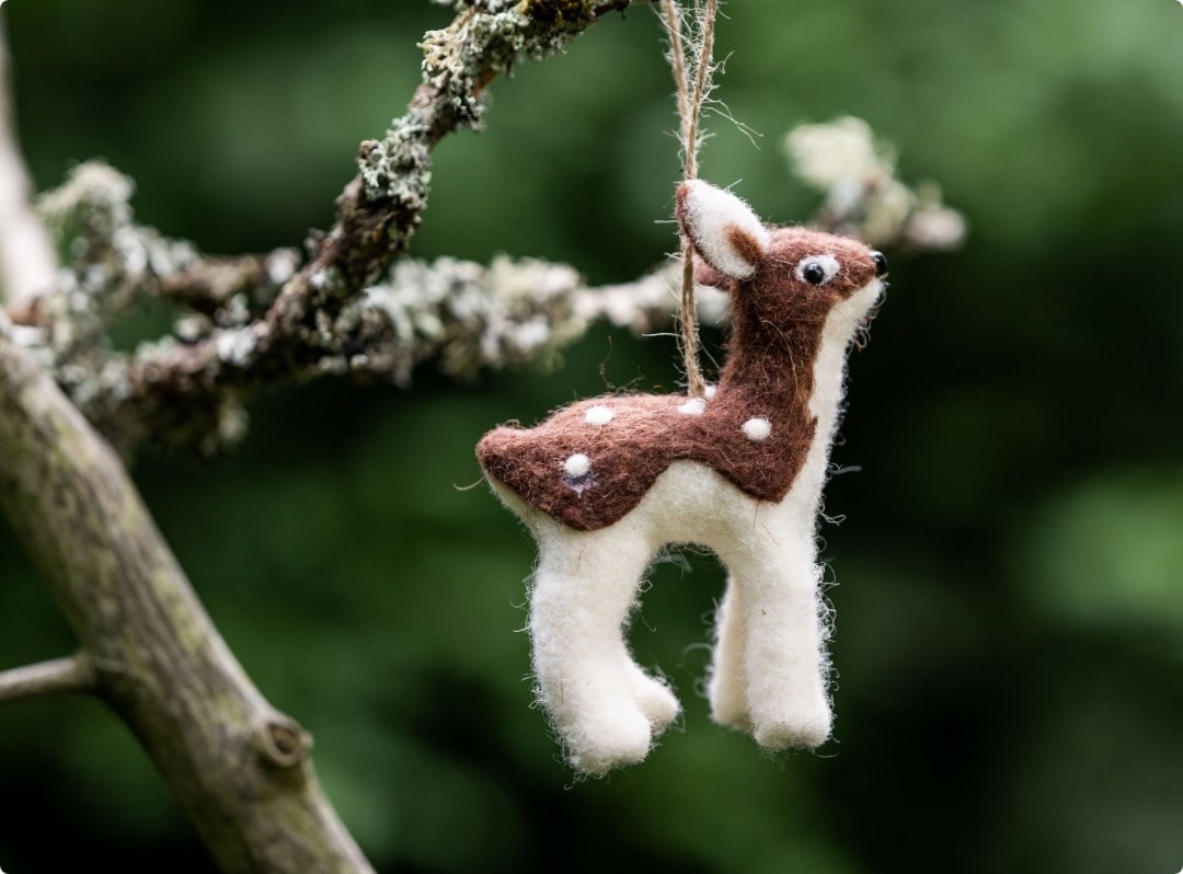 Woodland wonders