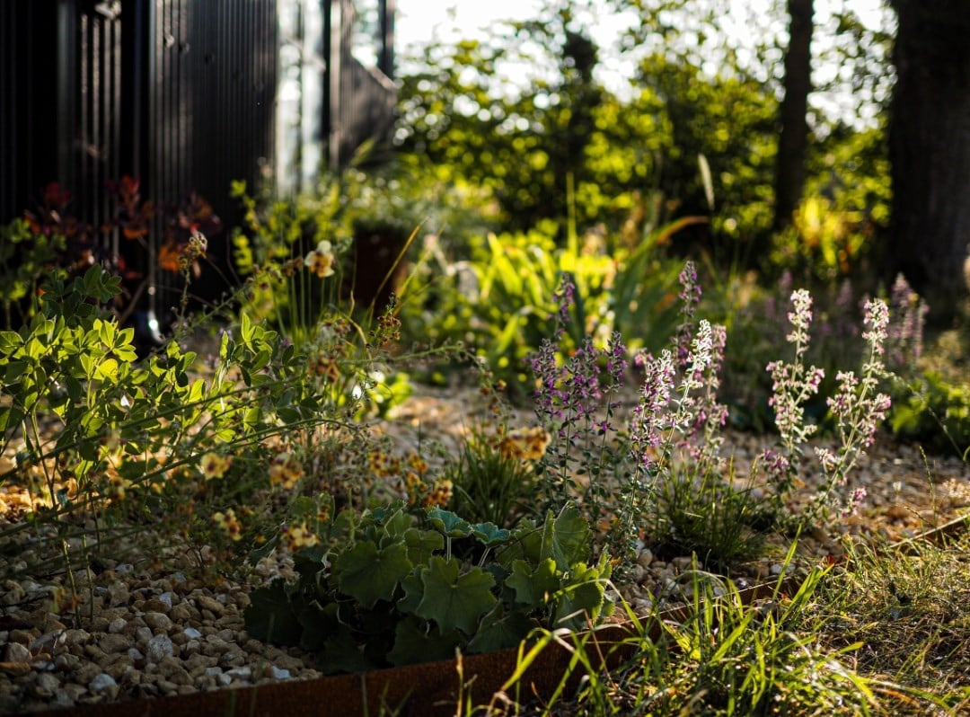 How to create a climate resilient studio garden