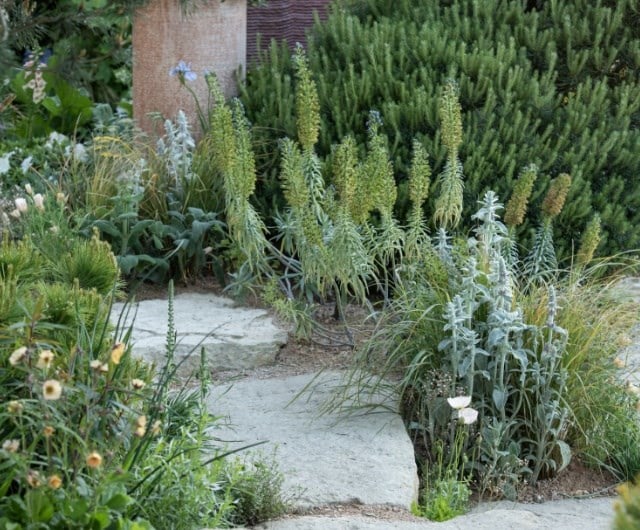 resilient_planting
