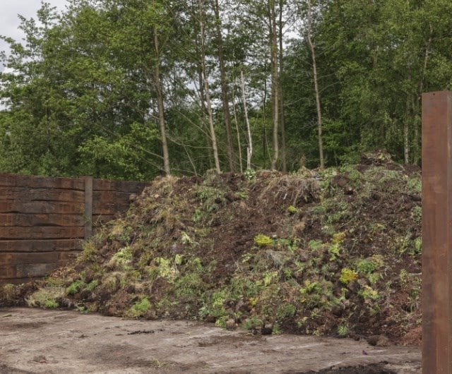 sustainability_recycling_compost