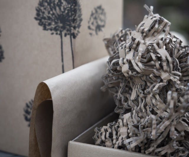removing_plastic_from_packaging