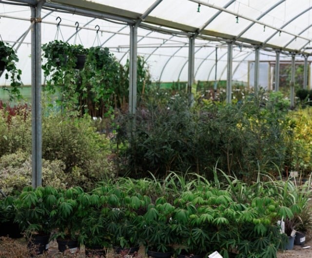 sustainability_progress_UK_plants