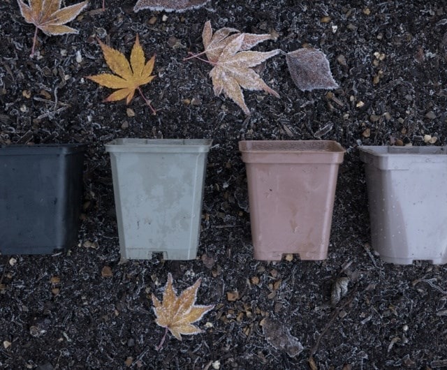Recycling plant pots